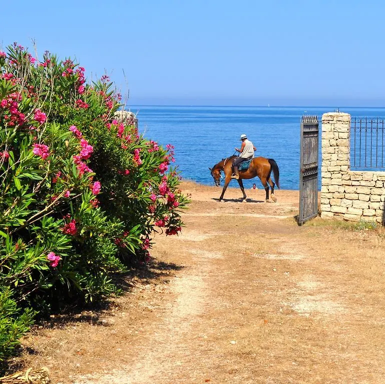 Bellavista House Hotel San Vito Lo Capo 0*,